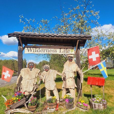 Elch Zimmer Wilderness Life Arvidsjaur Eksteriør billede