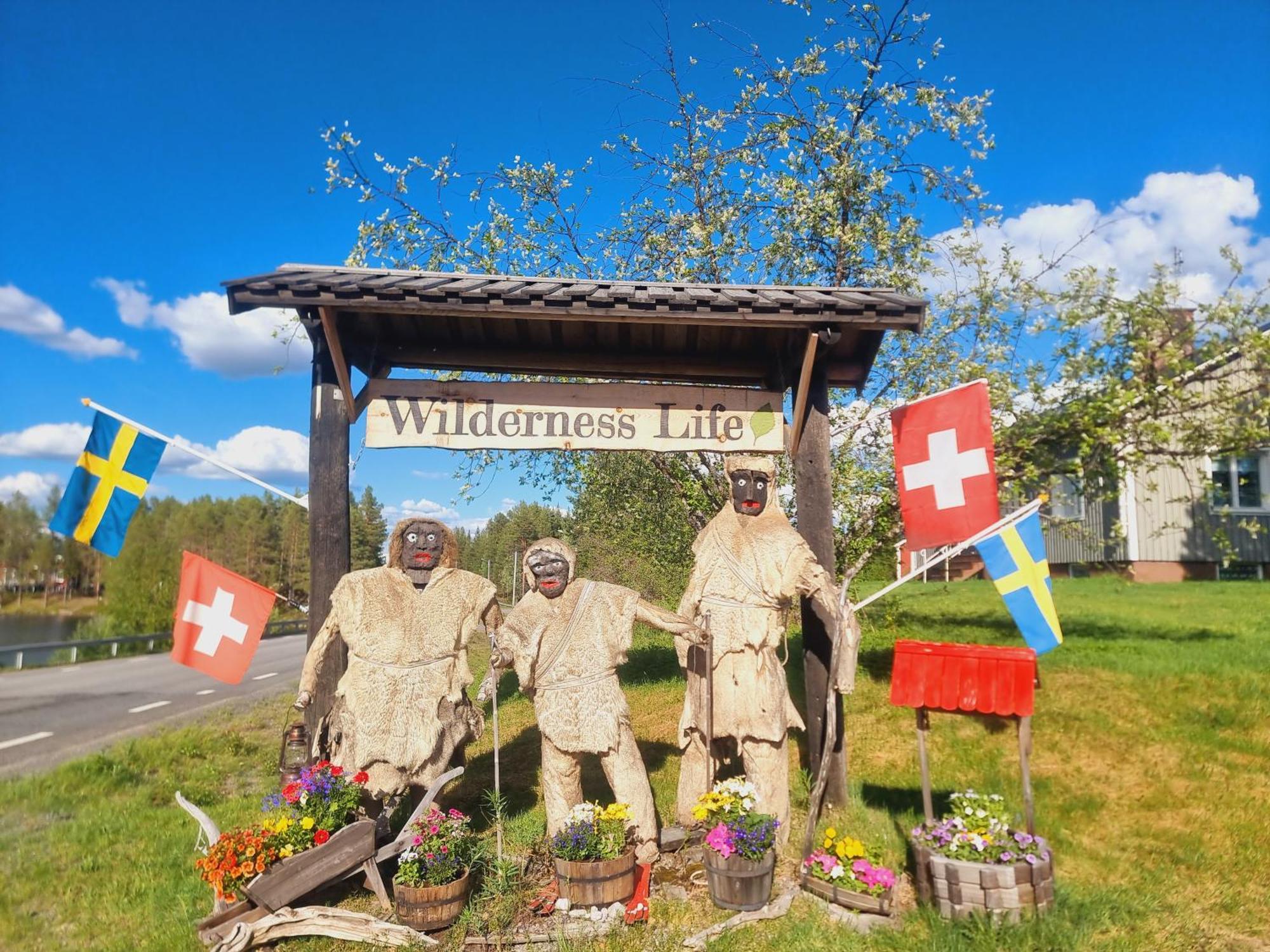 Elch Zimmer Wilderness Life Arvidsjaur Eksteriør billede